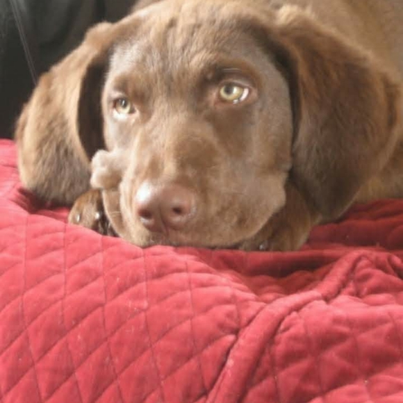 ๐Leviโs 550 Black Relaxed Fit Jeans 40 X 32 - Picture 10 of 16